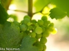 holzmann_078 holzmann_078